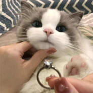 吃啥呢给我掰点