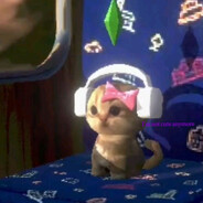 AVIATOR