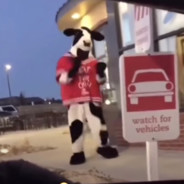 cowcaine