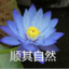 老七