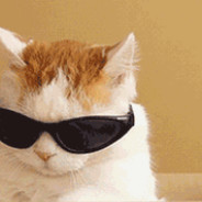 墨镜一戴 谁都不爱