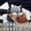 只鱼