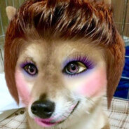 Doge Karen