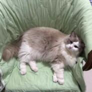 她一个人怎么守得住B