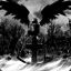 *Mr.Darkchaos (GER)*
