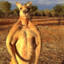 kangaroo