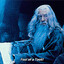 fool of a took
