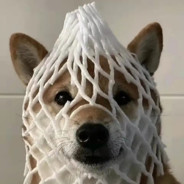 痞子蛋