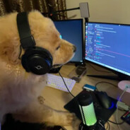 Skrib - steam id 76561198391521007