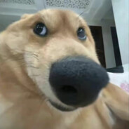 她说戴了不算给