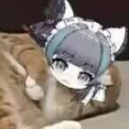 猫猫和黄油谁先落地