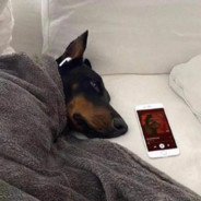 在人间贩卖黄昏