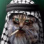 Ustadh Meowington