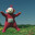 Po