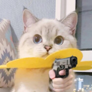 哈哈哈哈哈撕奇