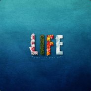 YLTQ1886