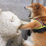 拜托了红眼南瓜头