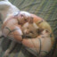 FoxKids