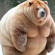 secular youth（世俗青年）