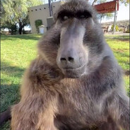 𝙽𝚘𝚍𝚎𝚜𝟷𝚗𝚍