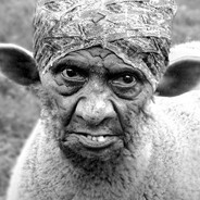 7055 дней без баб