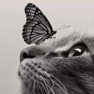 手柄废物（第1天）