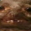 Rodent Scrotum