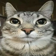♿