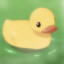 DuckDQuack