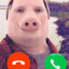 John Pork is calling...