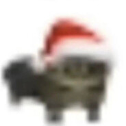 whateverwhateverwhateverthefucj