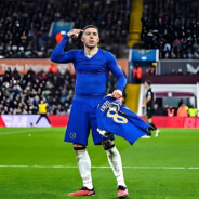 斯坦福桥农场主恩佐