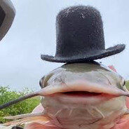 Bagre De Chapeu