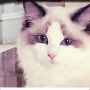 小笼汤包蒸好吃