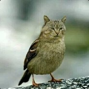 库拉丽丝真是太可爱辣