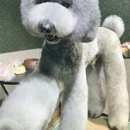 此生必睡李达康