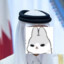 Le Prince Qatari