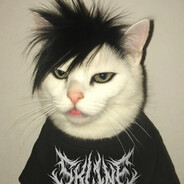 Poke | www.skline.store