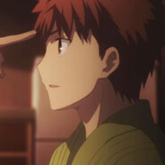 正义的伙伴 卫宫士郎