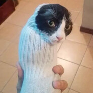 mmm check please | Trading