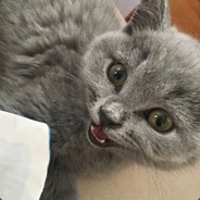 你怎么知道我高考200分