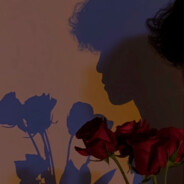 野花做了玫瑰夢