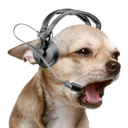 -Eternity- ⭕⃤ ็