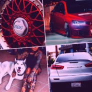 Jeż we mgle i dymie