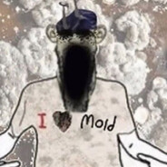 mold