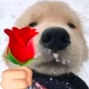 深情小狗爱偷巴黎世家