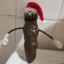 Mr. Hankey