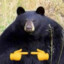 ʕ•ᴥ•ʔ
