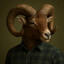 Mouflon_TA