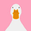 sillygoose
